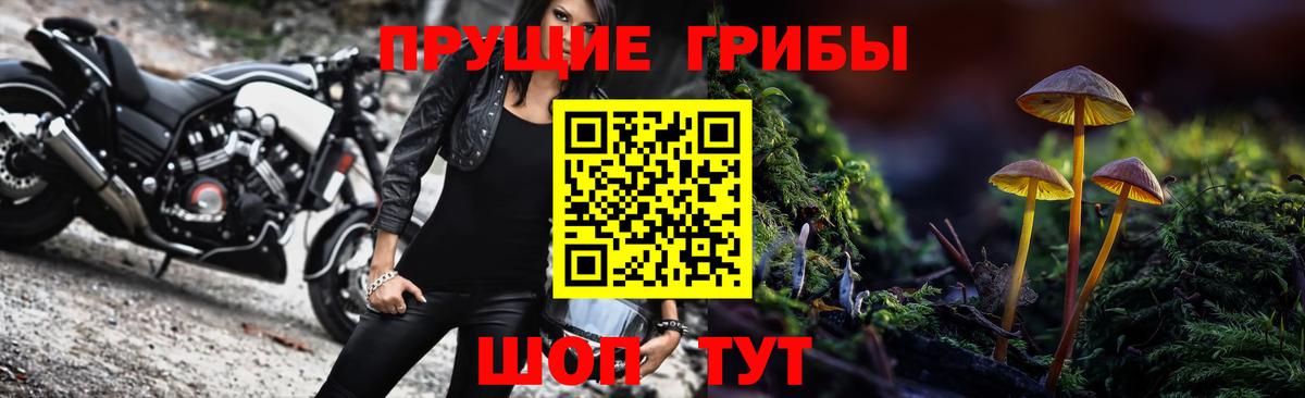 Псилоцибиновые грибы MAGIC MUSHROOMS Архангельск