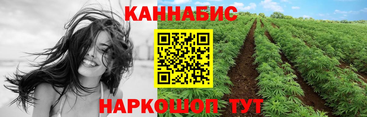 Конопля OG Kush Архангельск